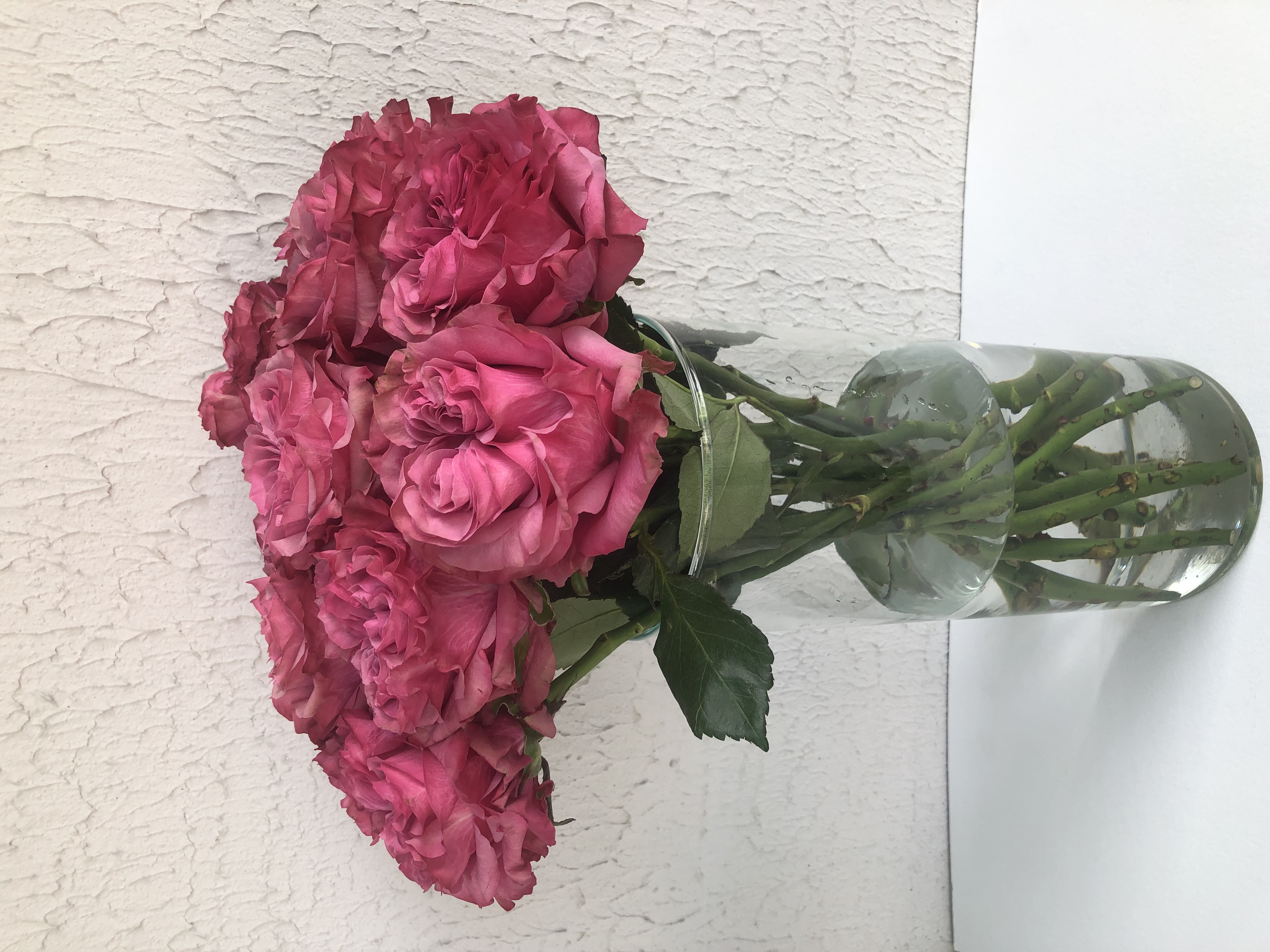 Роза одноголовая 50 см (поштучно)