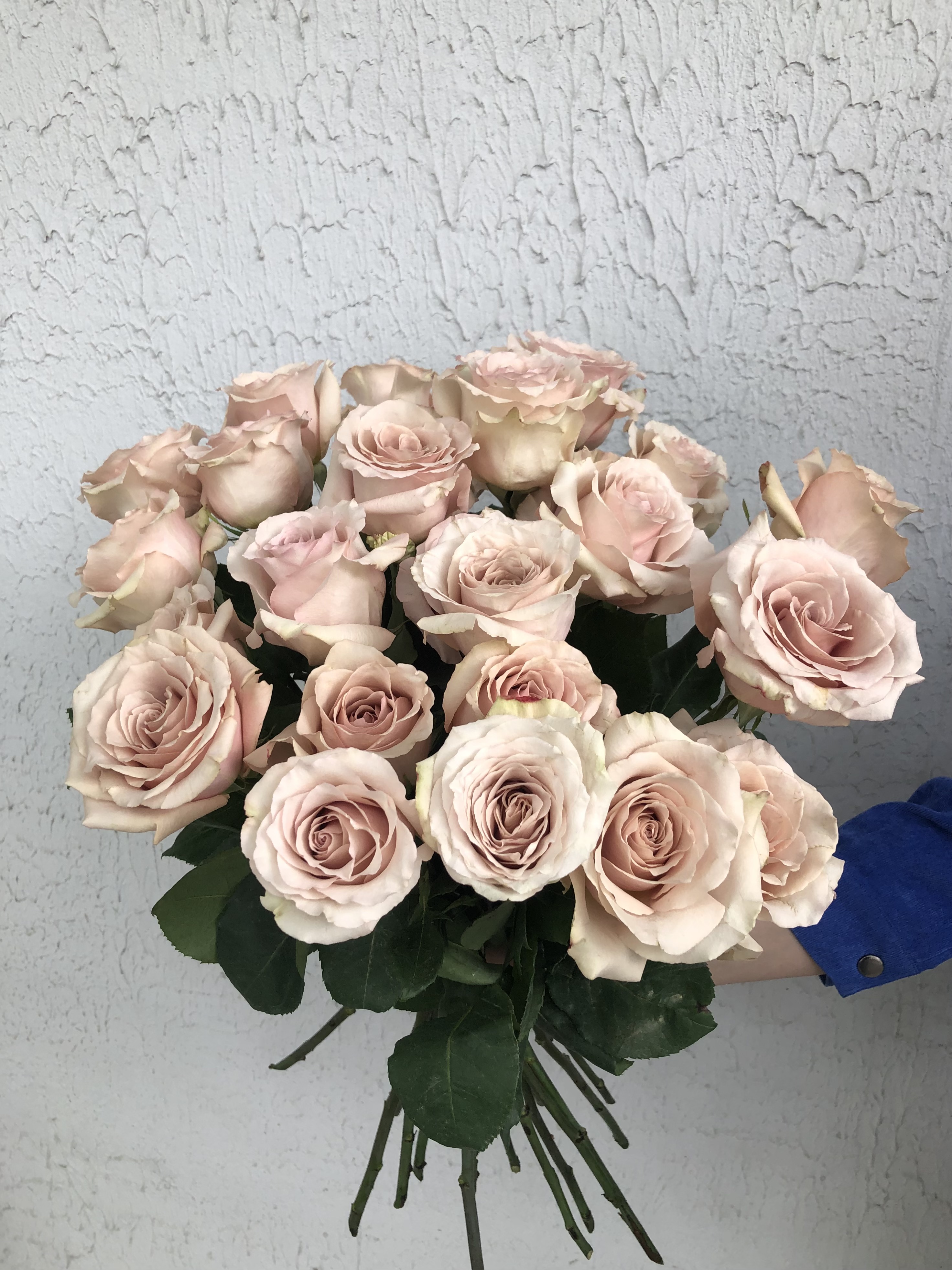 Роза одноголовая 60 см (поштучно)