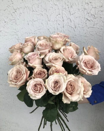 Роза одноголовая 60 см (поштучно)