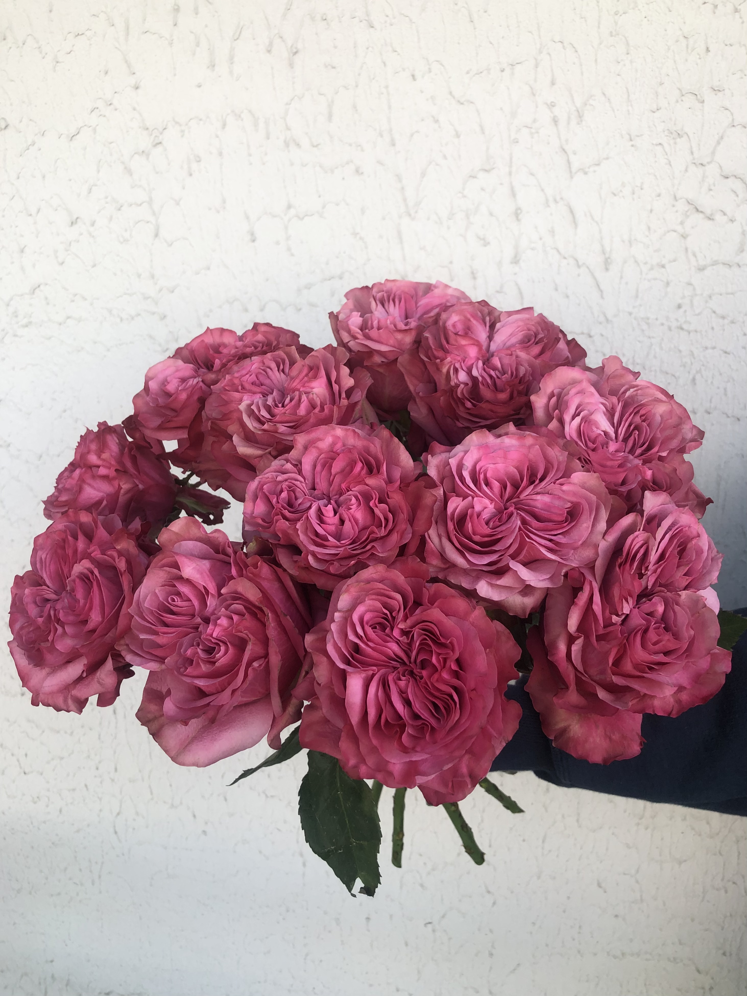 Роза одноголовая 50 см (поштучно)