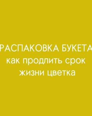 Как продлить жизнь букета: правила ухода